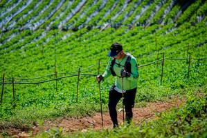 BIB: 
                            <button type="button" onclick="openModal(19164555)" class="btn btn-primary btn-sm float-right btn-popup" data-toggle="modal" data-target=".modal-high-quality">
                        <i class="fas fa-shopping-cart"></i> Add to Cart
                    </button>
                                            <button type="button" onclick="isThisMe(19164555, true)" class="btn btn-success btn-sm float-right btn-popup btn-isme hidden" data-toggle="tooltip" data-placement="bottom" title="นี่คือรูปของคุณใช่ไหม คลิกที่นี่เพื่อเอาเข้าอัลบั้ม">
                        <i class="fas fa-plus"></i> Add to album
                    </button>
                    <button type="button" onclick="isThisMe(19164555, false)" class="btn btn-warning btn-sm float-right btn-popup btn-isnotme hidden">
                        <i class="fas fa-ban"></i> Remove from album
                    </button>